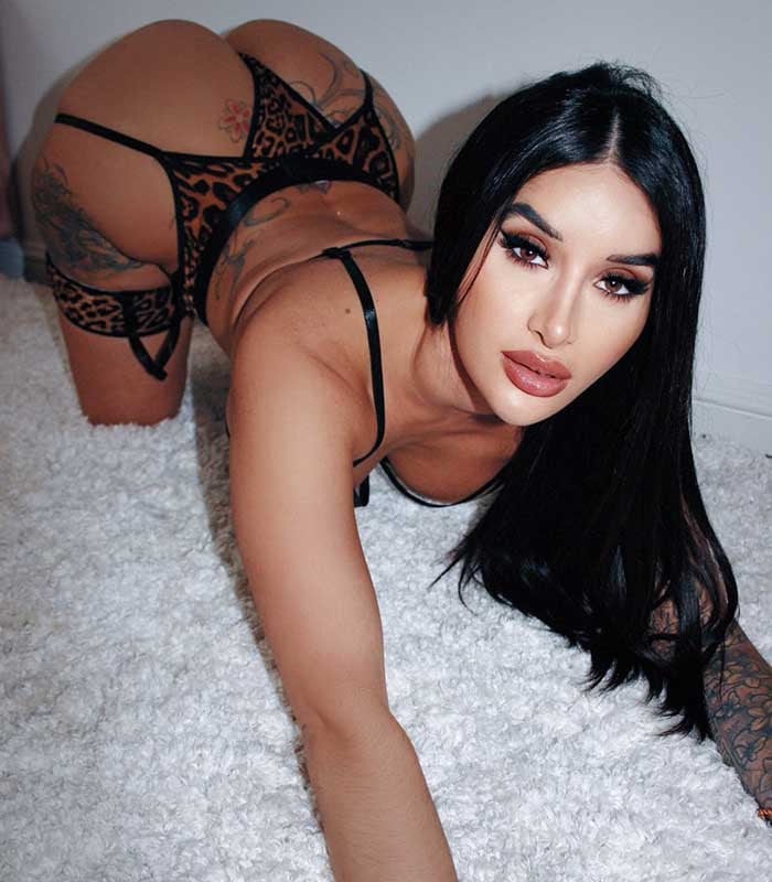 Preeti Young, best Indian pornstar, wears black lingerie and shows her curvy body while on all four.